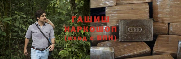 ГАЛЛЮЦИНОГЕННЫЕ ГРИБЫ Аркадак