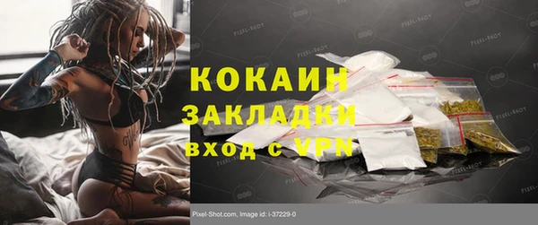 ГАЛЛЮЦИНОГЕННЫЕ ГРИБЫ Аркадак