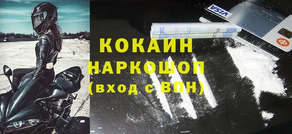 ГАЛЛЮЦИНОГЕННЫЕ ГРИБЫ Аркадак