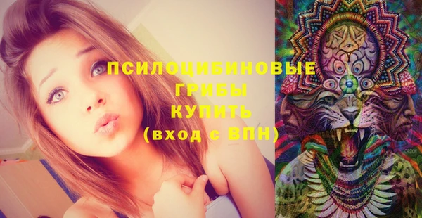 ALPHA PVP Алексеевка