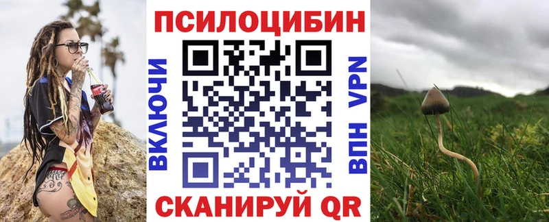 где можно купить наркотик  Аша  kraken ССЫЛКА  Галлюциногенные грибы GOLDEN TEACHER 