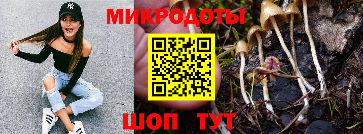 Псилоцибиновые грибы прущие грибы Аша
