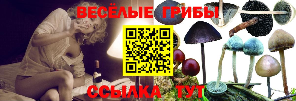 Галлюциногенные грибы прущие грибы  Псилоцибиновые грибы мицелий  Вход с VPN  Аша 