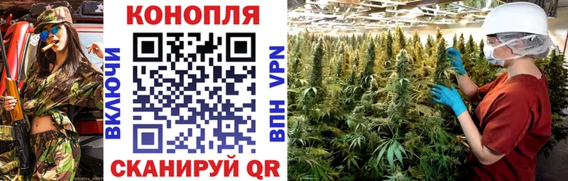 Конопля VHQ shop состав Аша где можно купить наркотик